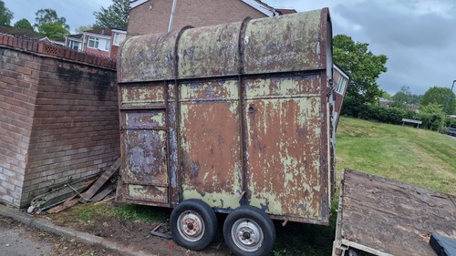 Horse box trailer new - trailer,